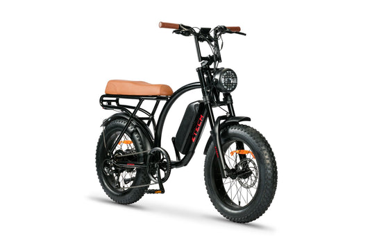 BULLBIKE Catania Fatbike E-Bike 250W 48V 13Ah 25 km/h Mit Gashebel