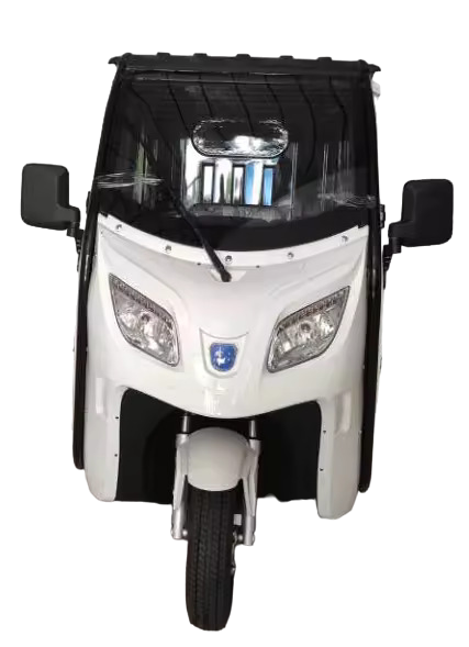 BULLBIKE Mainz Cargo E-Lastendreirad 600W 60V 100Ah 25 km/h