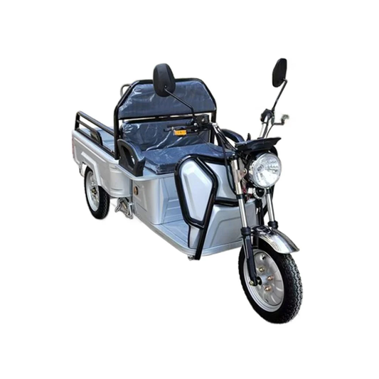 BULLBIKE Moroni Cargo Mini E-Lastendreirad 1000W 60V 32Ah 25km/h