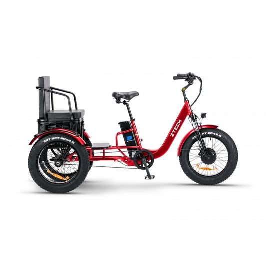 BULLBIKE TOKIO-Max E-Dreirad Fahrrad 48V 13Ah Lithium-ionen 250W 25Km/h