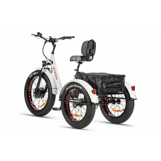 BULLBIKE TOKIO E-Dreirad Fahrrad 48V 13Ah Lithium-ionen 250W 25Km/h