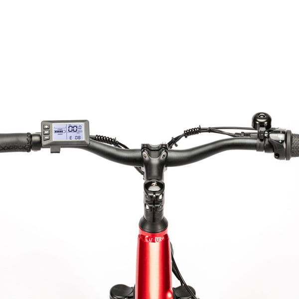 BULLBIKE Beijing E-Bike, Elektro Fahrrad 25 km/h 250W 36V 12Ah