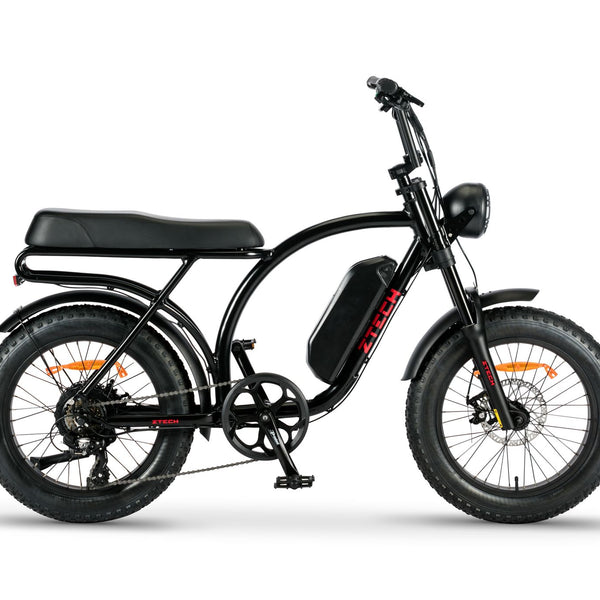 BULLBIKE Catania Fatbike E-Bike 250W 48V 13Ah 25 km/h Mit Gashebel