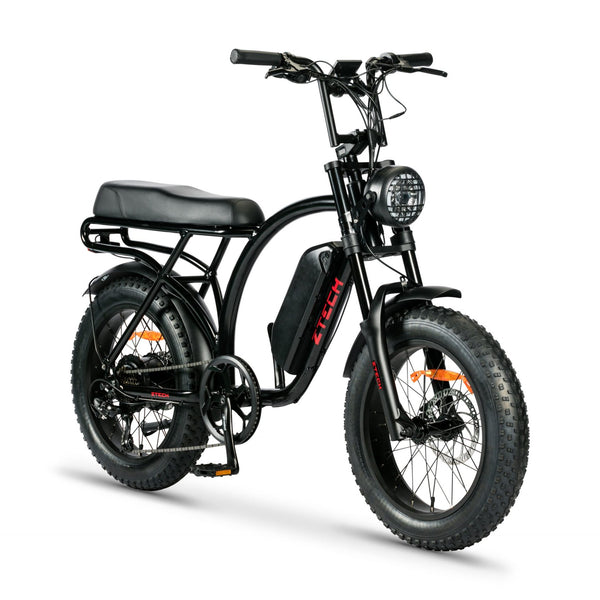 BULLBIKE Catania Fatbike E-Bike 250W 48V 13Ah 25 km/h Mit Gashebel