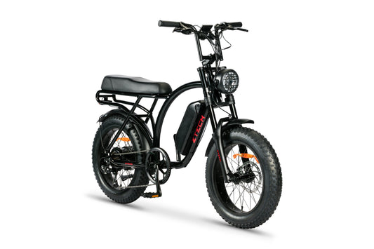 BULLBIKE Catania Fatbike E-Bike 250W 48V 13Ah 25 km/h Mit Gashebel