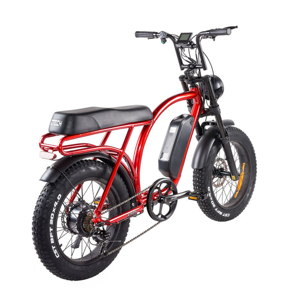 BULLBIKE Catania Fatbike E-Bike 250W 48V 13Ah 25 km/h Mit Gashebel
