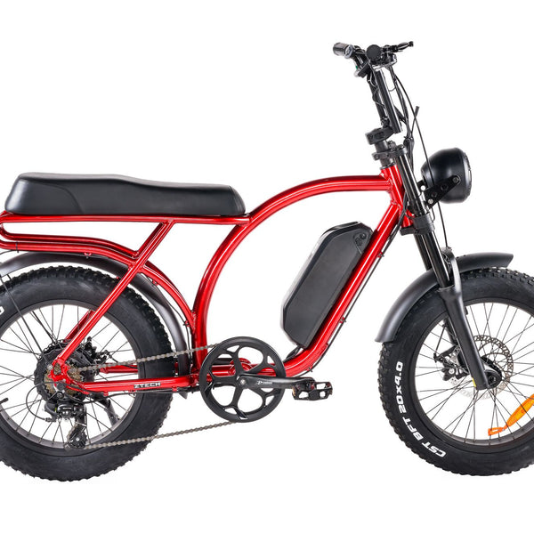 BULLBIKE Catania Fatbike E-Bike 250W 48V 13Ah 25 km/h Mit Gashebel