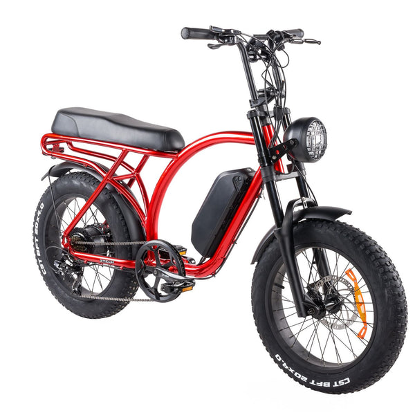 BULLBIKE Catania Fatbike E-Bike 250W 48V 13Ah 25 km/h Mit Gashebel