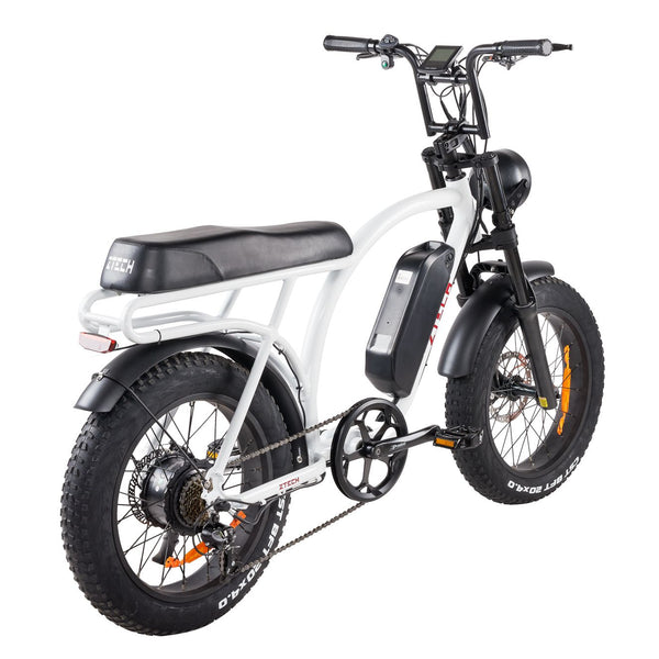 BULLBIKE Catania Fatbike E-Bike 250W 48V 13Ah 25 km/h Mit Gashebel