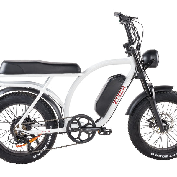 BULLBIKE Catania Fatbike E-Bike 250W 48V 13Ah 25 km/h Mit Gashebel