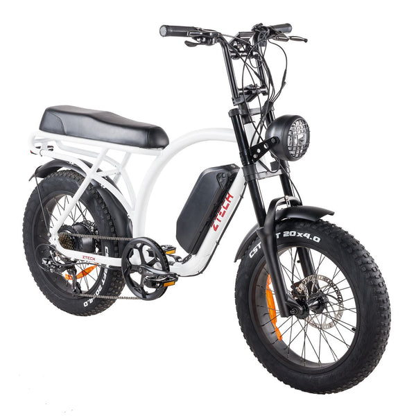 BULLBIKE Catania Fatbike E-Bike 250W 48V 13Ah 25 km/h Mit Gashebel
