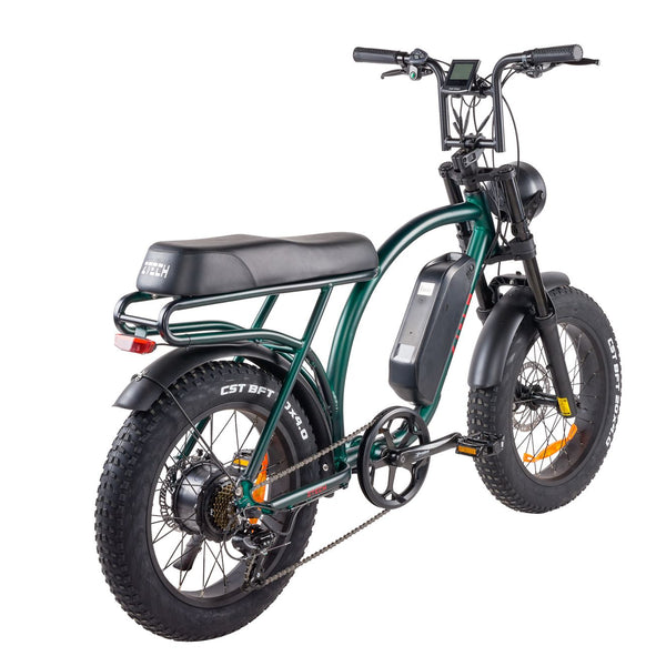 BULLBIKE Catania Fatbike E-Bike 250W 48V 13Ah 25 km/h Mit Gashebel