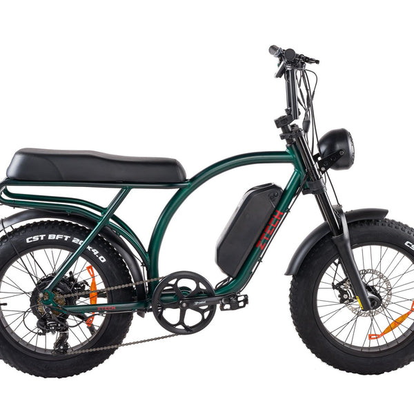 BULLBIKE Catania Fatbike E-Bike 250W 48V 13Ah 25 km/h Mit Gashebel