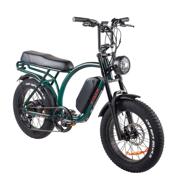 BULLBIKE Catania Fatbike E-Bike 250W 48V 13Ah 25 km/h Mit Gashebel