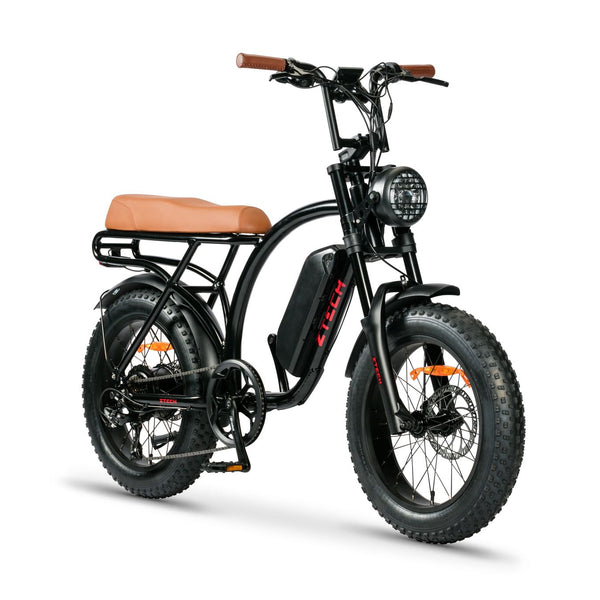 BULLBIKE Catania Fatbike E-Bike 250W 48V 13Ah 25 km/h Mit Gashebel