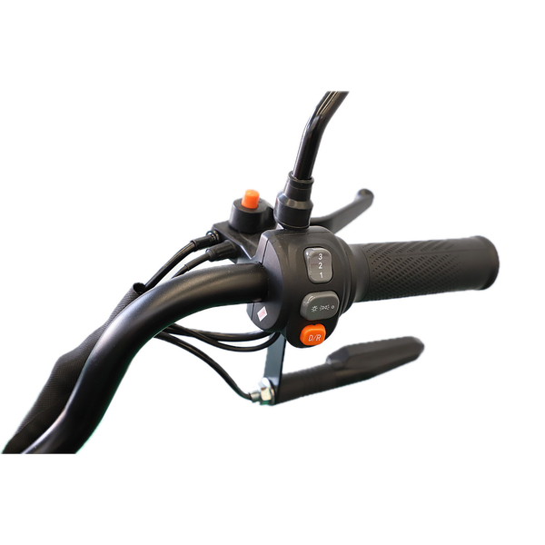 BULLBIKE Dalian Elektro Scooter 2000W 60V 20Ah 25Km/h/ Seniorenmobil / Dreirad
