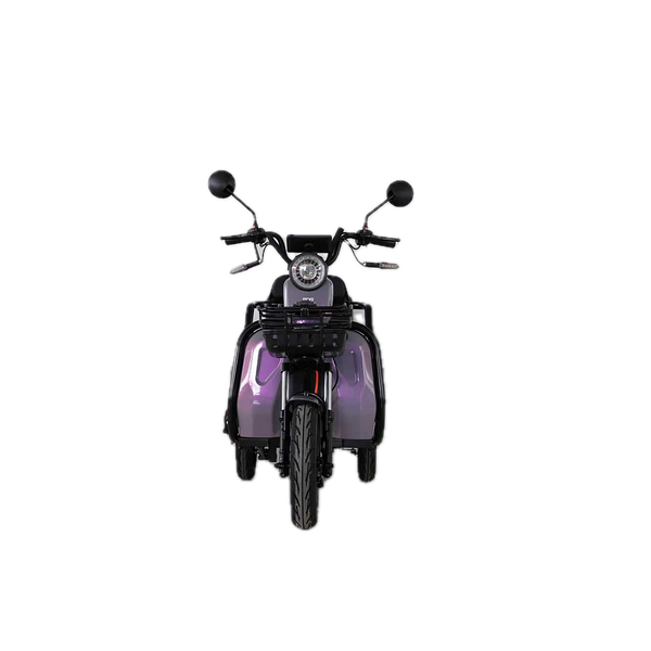 BULLBIKE Dalian Elektro Scooter 2000W 60V 20Ah 25Km/h/ Seniorenmobil / Dreirad
