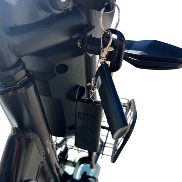 BULLBIKE Hamburg Elektro Scooter 600W 60V 20Ah 25Km/h/ Seniorenmobil / Dreirad