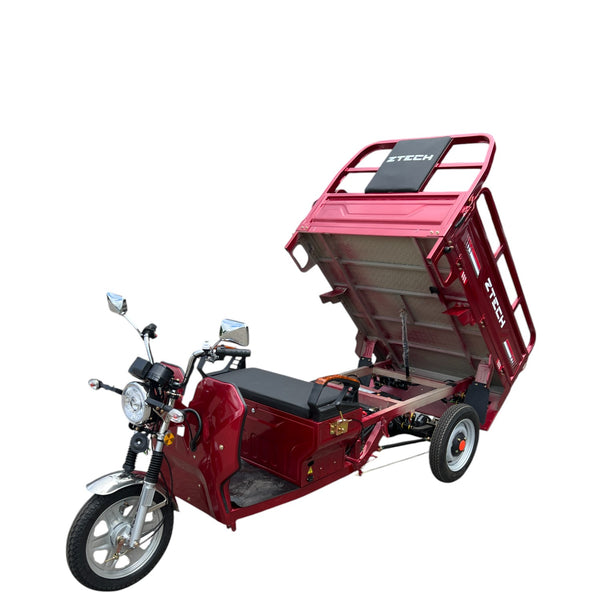 BULLBIKE Hong Kong Cargo 600W 60V 45AH 25km/h