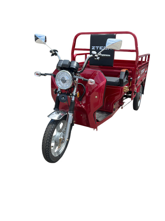 BULLBIKE Hong Kong Cargo E-Lastendreirad 600W 60V 45AH 25km/h