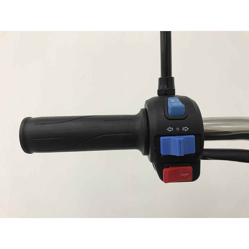 BULLBIKE Kano Cargo E-Lastendreirad 3500W 72V 32Ah 25km/h