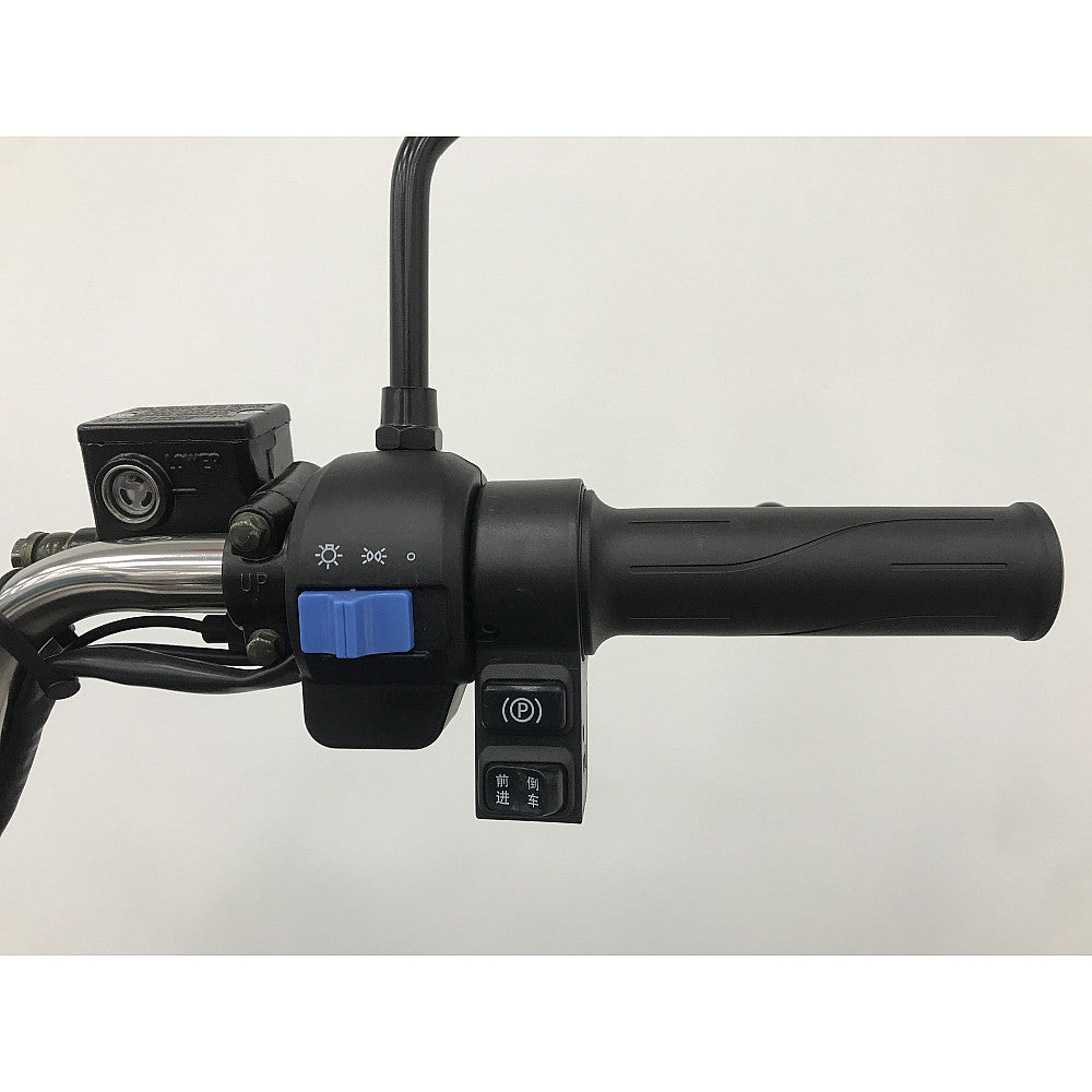 BULLBIKE Kano Cargo E-Lastendreirad 3500W 72V 32Ah 25km/h