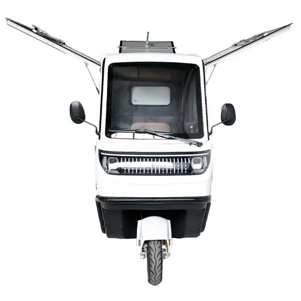 BULLBIKE Lagos Cargo E-Lastendreirad 25 km/h / 45km/h 60V 100Ah 3000W
