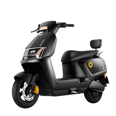BULLBIKE Marburg Elektro Scooter 2000W 72V 20Ah Graphene 25Km/h