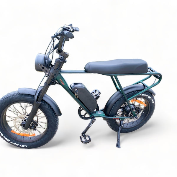 BULLBIKE Sofia Fatbike E-Bike 250W 48V 13Ah 25 km/h Mit Gashebel