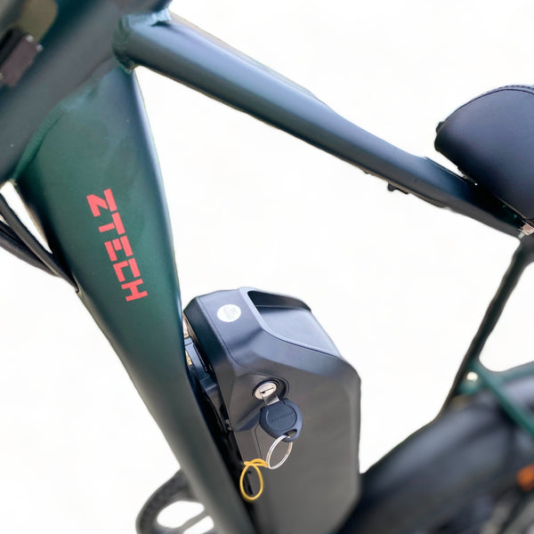 BULLBIKE Sofia Fatbike E-Bike 250W 48V 13Ah 25 km/h Mit Gashebel