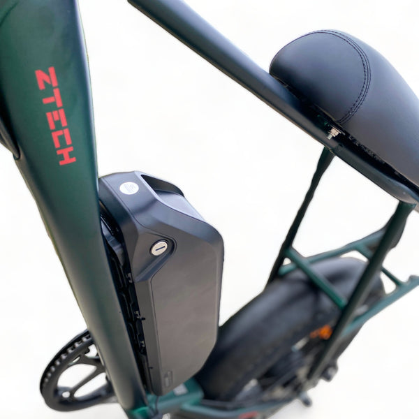 BULLBIKE Sofia Fatbike E-Bike 250W 48V 13Ah 25 km/h Mit Gashebel