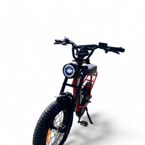 BULLBIKE Sofia Fatbike E-Bike 250W 48V 13Ah 25 km/h Mit Gashebel