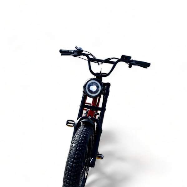 BULLBIKE Sofia Fatbike E-Bike 250W 48V 13Ah 25 km/h Mit Gashebel