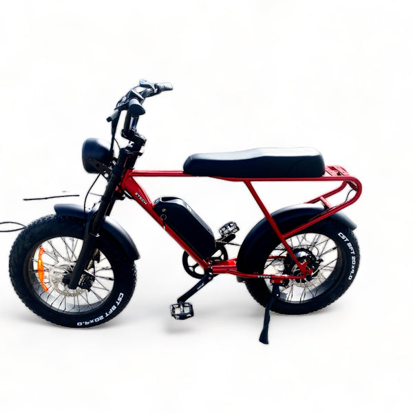 BULLBIKE Sofia Fatbike E-Bike 250W 48V 13Ah 25 km/h Mit Gashebel