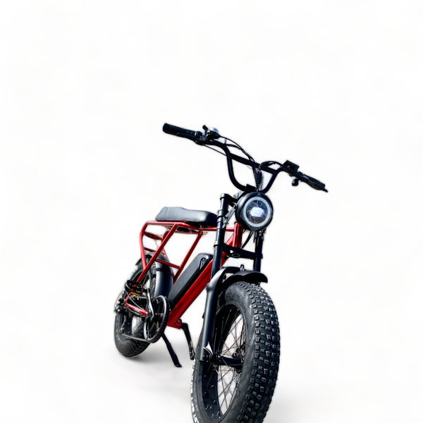 BULLBIKE Sofia Fatbike E-Bike 250W 48V 13Ah 25 km/h Mit Gashebel