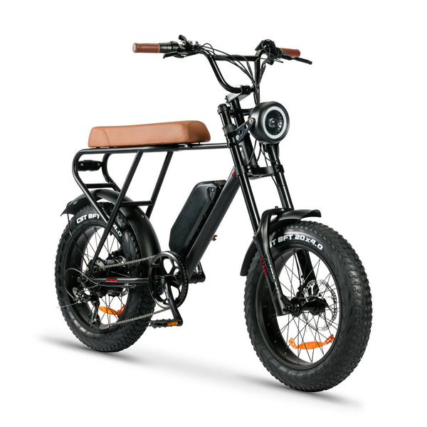 BULLBIKE Sofia Fatbike E-Bike 250W 48V 13Ah 25 km/h Mit Gashebel