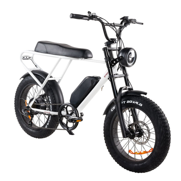 BULLBIKE Sofia Fatbike E-Bike 250W 48V 13Ah 25 km/h Mit Gashebel