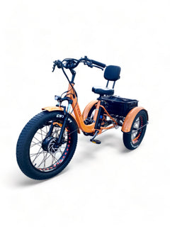BULLBIKE TOKIO E-Dreirad Fahrrad 48V 13Ah Lithium-ionen 250W 25Km/h