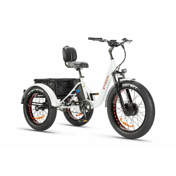 BULLBIKE TOKIO E-Dreirad Fahrrad 48V 13Ah Lithium 250W 25Km/h