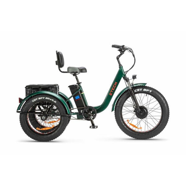 BULLBIKE TOKIO E-Dreirad Fahrrad 48V 13Ah Lithium 250W 25Km/h