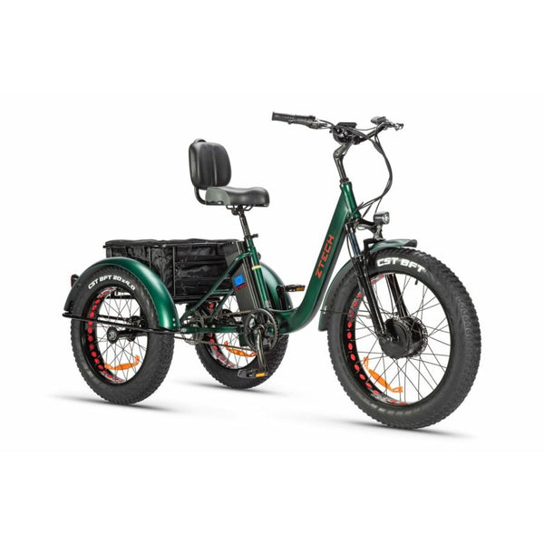BULLBIKE TOKIO E-Dreirad Fahrrad 48V 13Ah Lithium 250W 25Km/h